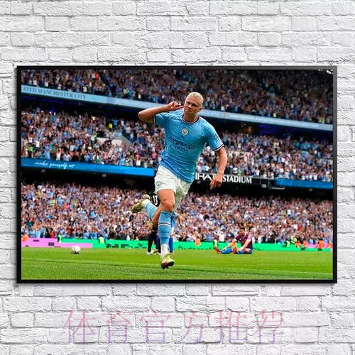 本届世界杯荷兰哈兰德赛事预测最新更新 本届世界杯荷兰哈兰德赛事预测最新更新